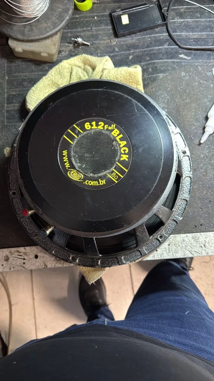 Médio de 600w rms 12 polegadas