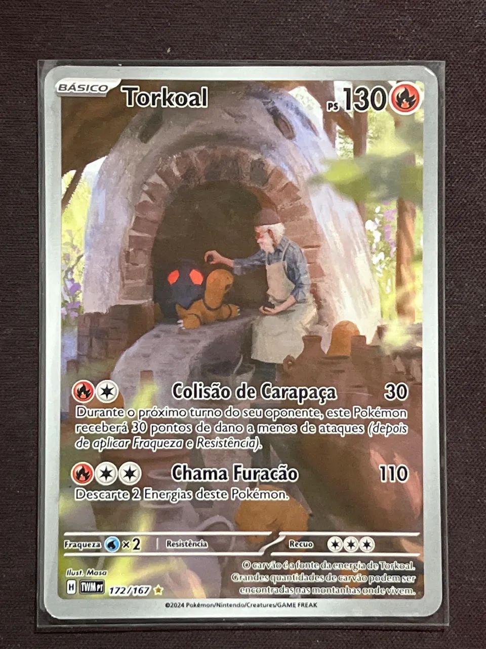 Torkoal Pokémon tchau