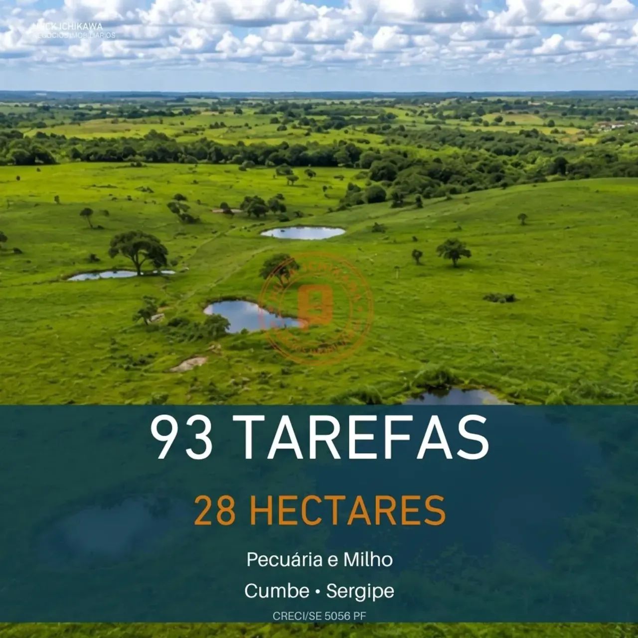 FAZENDA DE 93 TAREFAS - CUMBE