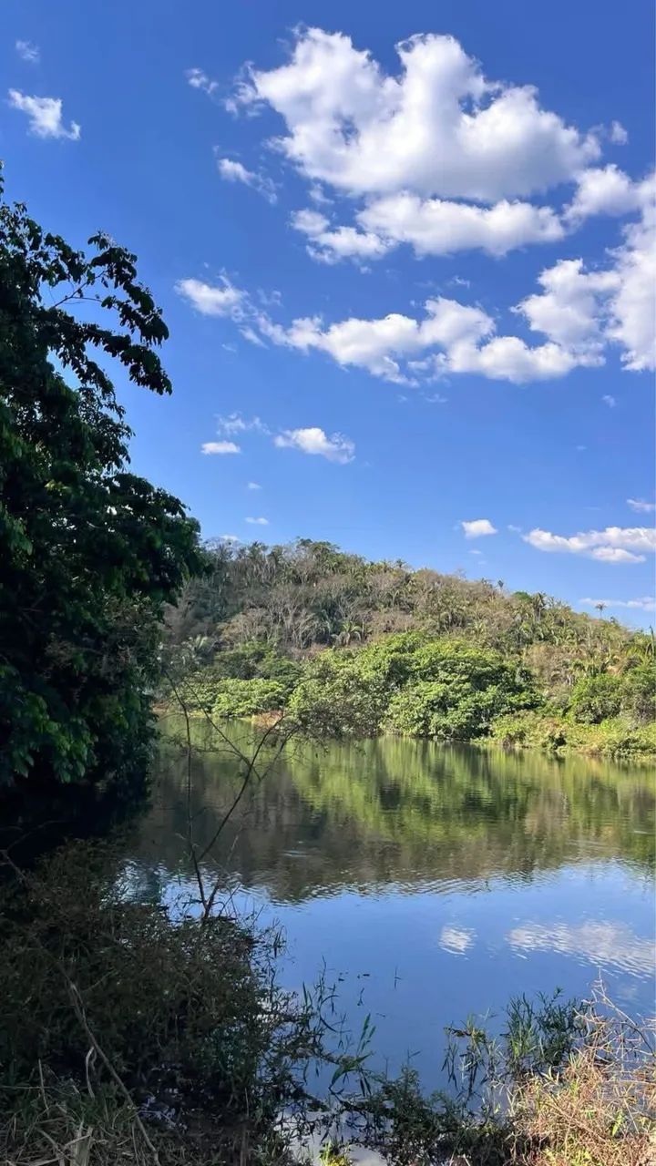 FAZENDA À VENDA - MONTE DO CARMO/TO - Foto 4