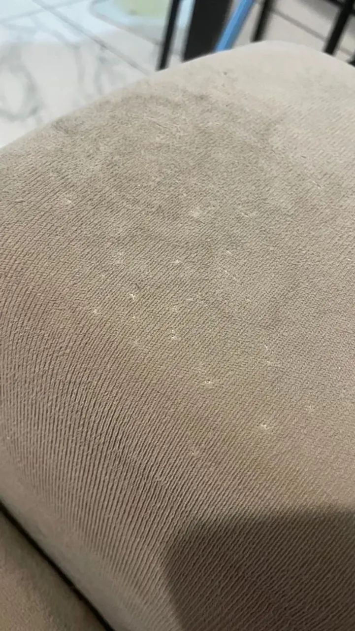 SOFÁ PARA VENDER LOGO64985851069955122