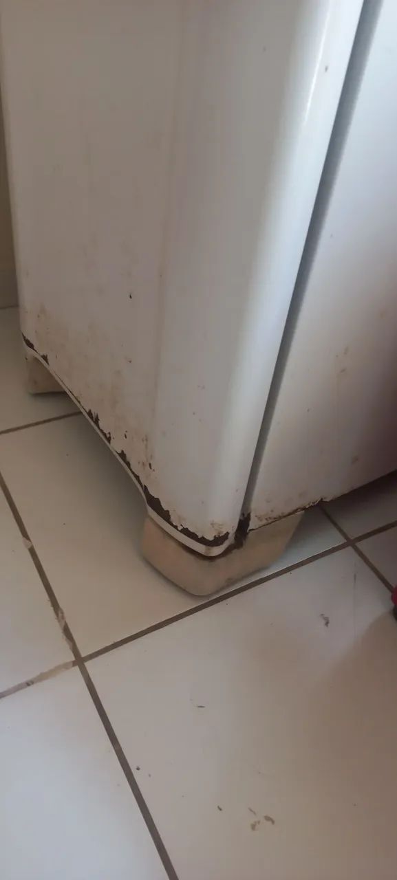 Geladeira electrolux 276lts defrost - Foto 3