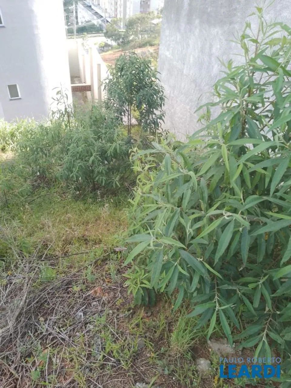 TERRENO - RESIDENCIAL VEREDAS - MG - Foto 4
