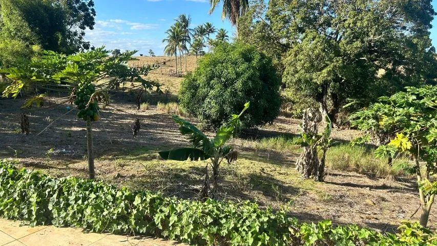 Sitio Santa Rosa Aracruz / ES - Foto 4