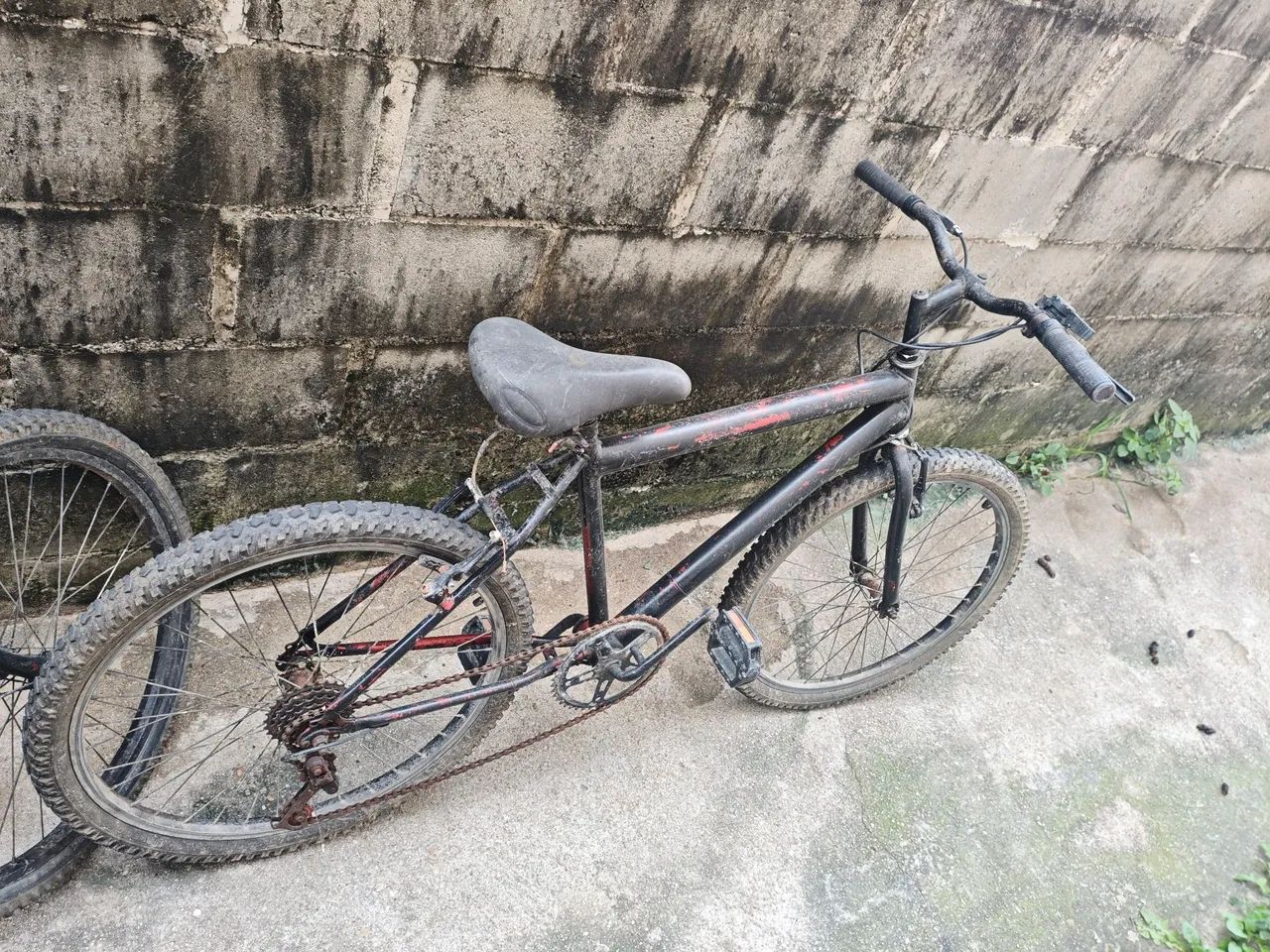 Bicicletas