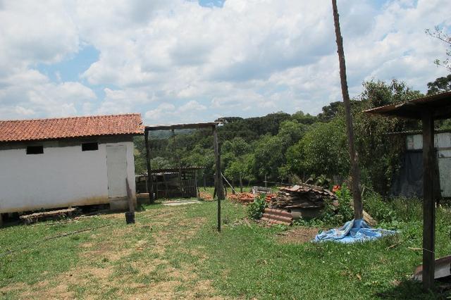 50 metros da Br/ 1 alqueire e 32 litros - Foto 5