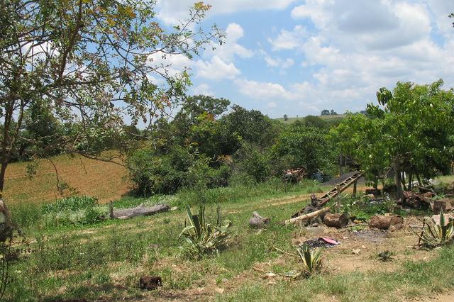 50 metros da Br/ 1 alqueire e 32 litros - Foto 10