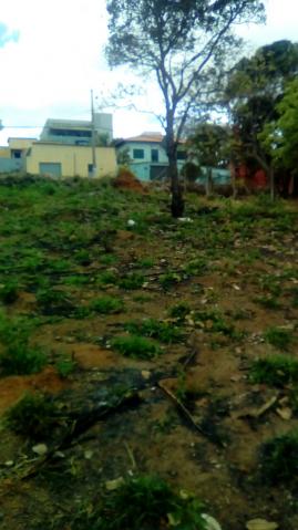 Terreno - Foto 7