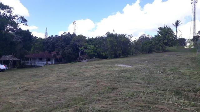 Área na BR em Gravatá/PE, com 05 hectares - REF. 131 - Foto 6