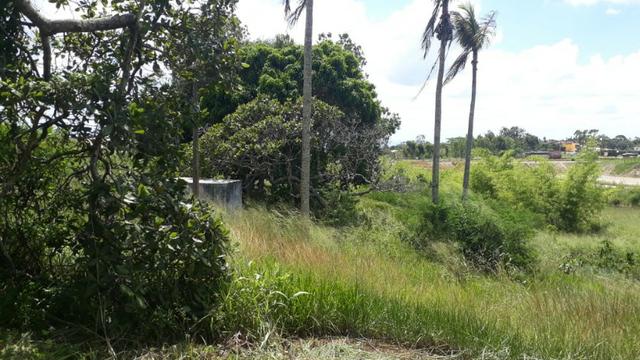 Área na BR em Gravatá/PE, com 05 hectares - REF. 131 - Foto 15