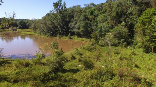 Área de 20000m² própria para chácara com privacidade - Foto 9
