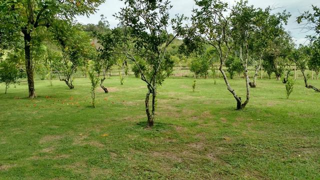 Belíssimo sítio em Agro Brasil - Cachoeiras de Macacu RJ 116 oportunidade!!!! - Foto 15