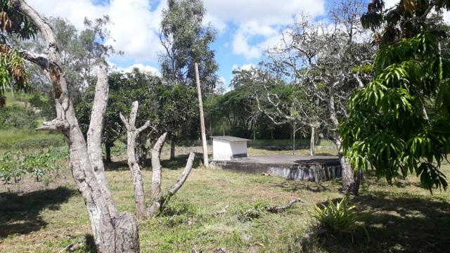 Área na BR em Gravatá/PE, com 05 hectares - REF. 131 - Foto 19