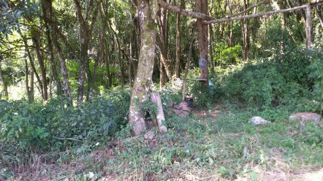 Linda área para chácara de lazer com 02 hectares