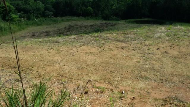 Linda área para chácara de lazer com 02 hectares - Foto 5