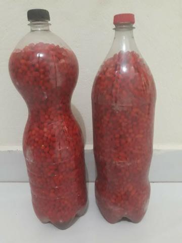 Pimentas