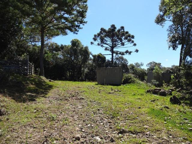 Área de 20000m² própria para chácara com privacidade - Foto 6