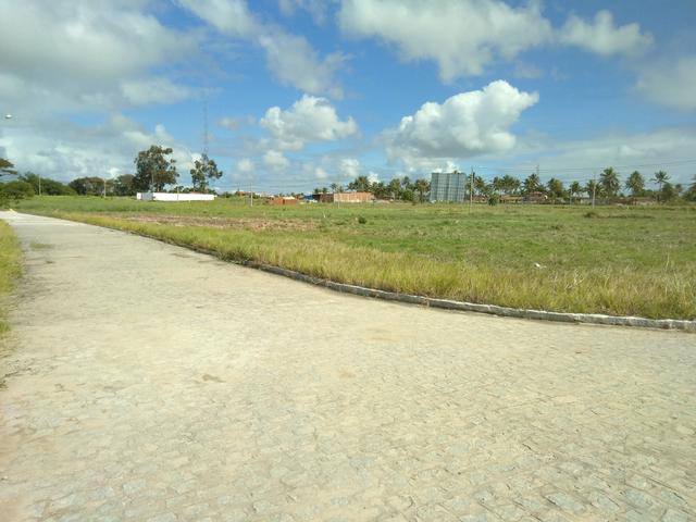 Terrenos em Ponta de Pedras 100% legalizados - Foto 3