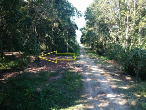 Terreno à venda, 384 m² por r$ 42.000 - praia das palmeiras - itapoá/sc