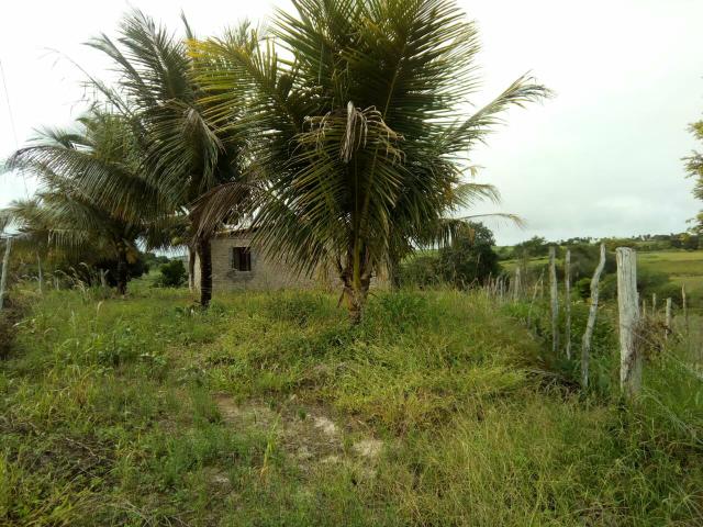 Vendo terreno aqui em São Sebastião Alagoas - Foto 7