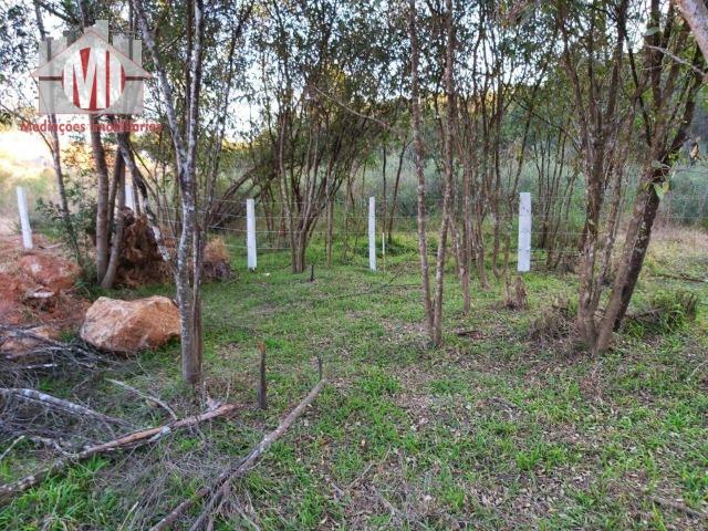 Lindo terreno com escritura, poço semi-artesiano e energia elétrica em Pedra Bela - Foto 18