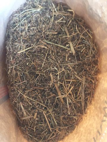 Sementes de capim buffel áridus e andropogon - Foto 2