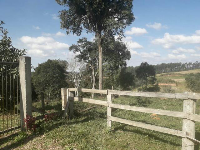 Chac 20.000m2 em Sjp na Col. Murici, troca imoveis, carro ou casa na praia - Foto 2