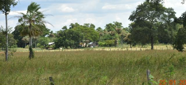 Fazenda na região de corumba ms - Foto 4