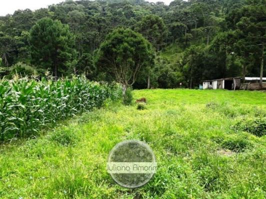Lote em Urubici - Foto 6