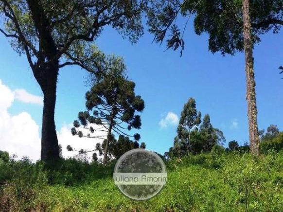 Urubici terrenos - Foto 2