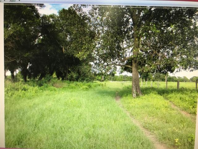 Fazenda na nhecolandia - Foto 3