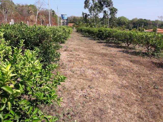 Chácara no Setor Agrícola, em Média, há 20km de Imperatriz - Foto 10
