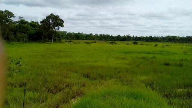 Fazenda de pecuária - Foto 9