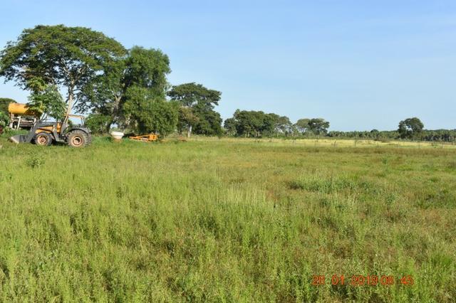 Fazenda na região de corumba ms - Foto 7