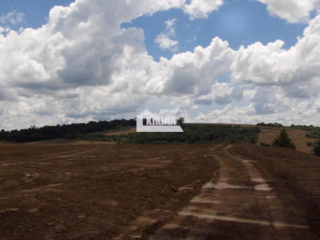 Terreno para alugar em Chapada, Ponta grossa cod:01744.002