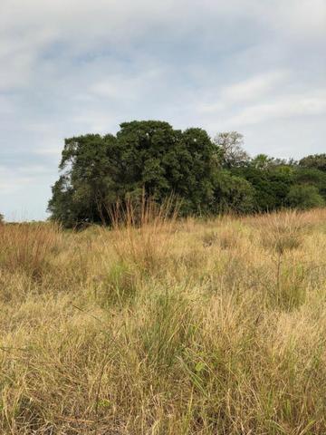 Fazenda de pecuária - Foto 13