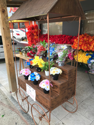 Carrinho de Flores - Foto 4