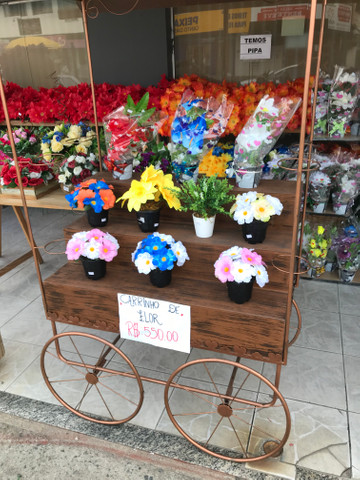 Carrinho de Flores - Foto 2