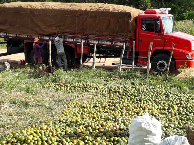 Fazenda/Sítio/Chácara para venda 30 ta = 130.680 m2  na zona rural - Rio Real - BA