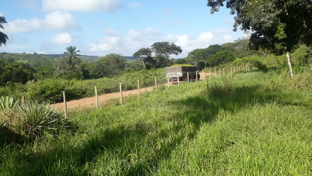 Fazenda/Sítio/Chácara para venda 30 ta = 130.680 m2  na zona rural - Rio Real - BA