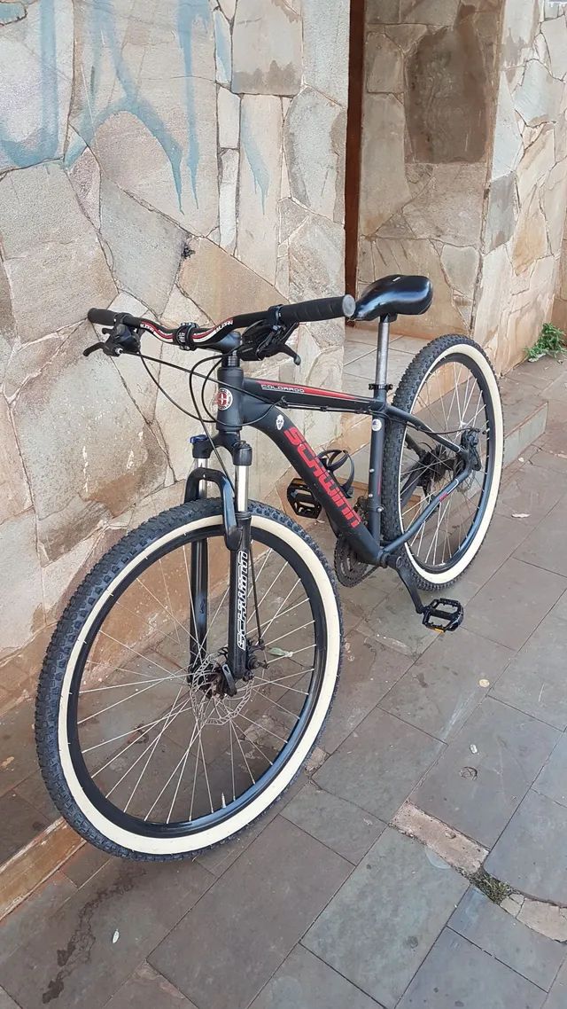 schwinn eagle a20