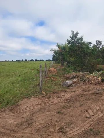 SITIO 15 HECTARES C/ BEIRA DE RIO  - Foto 2
