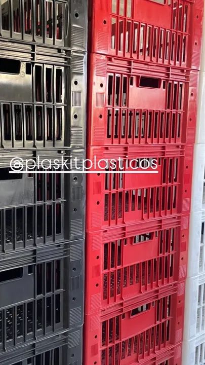 Galeia grande > 95,00