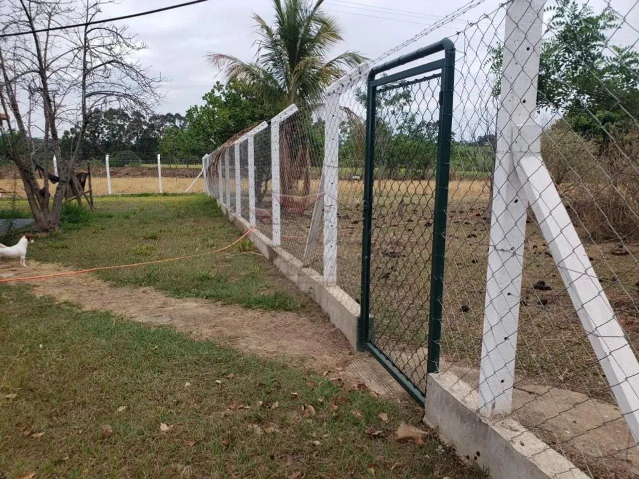 Sitio para Locação, em Cajuru
