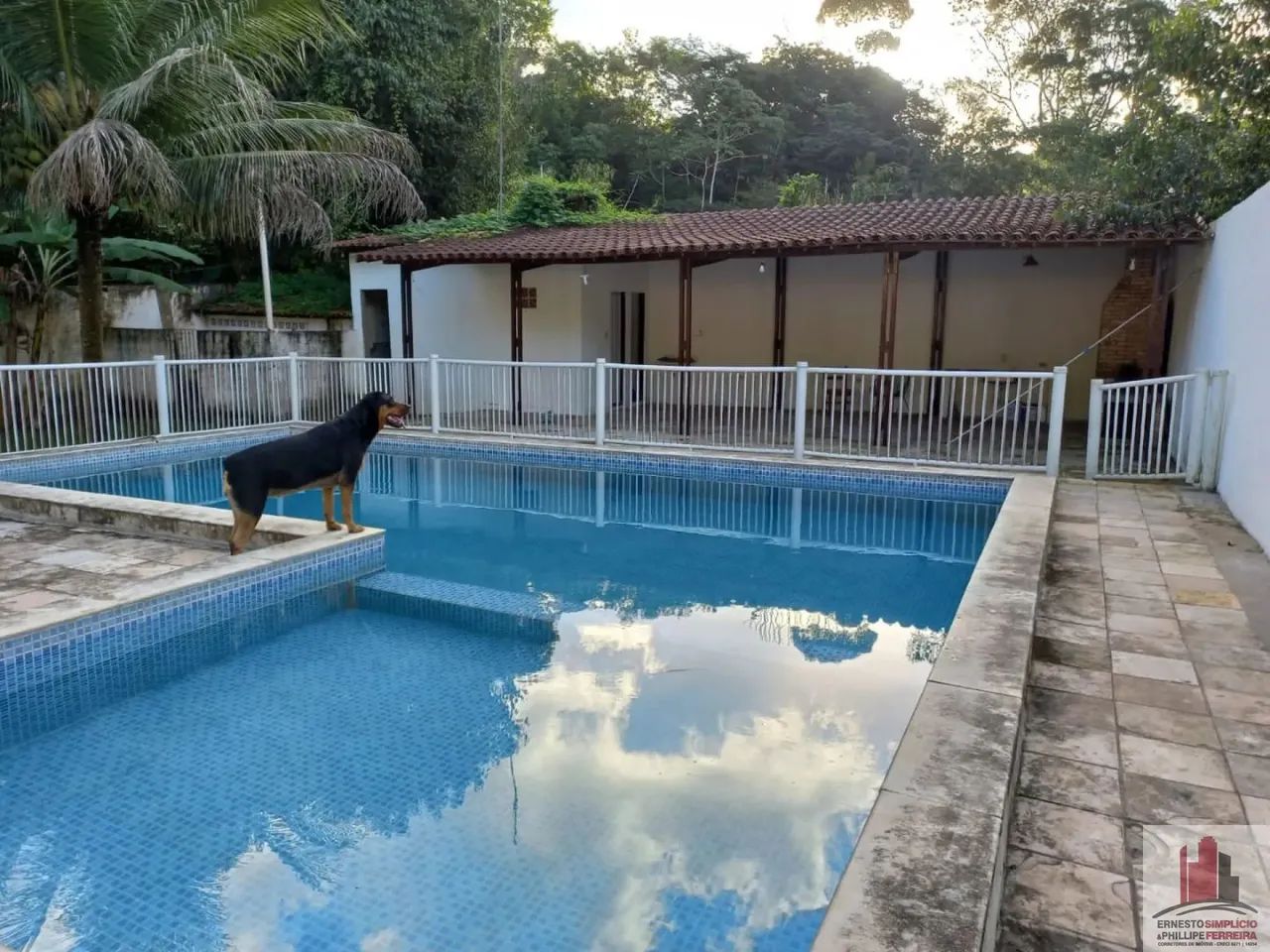 Chácara no Km 9 com 1000m² e Piscina - Foto 2