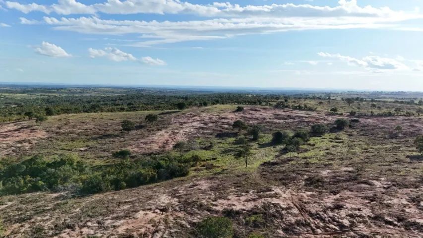 Chácara 99,9 Hectares com Bom Preço em  Camapuã - MS ! - Foto 5