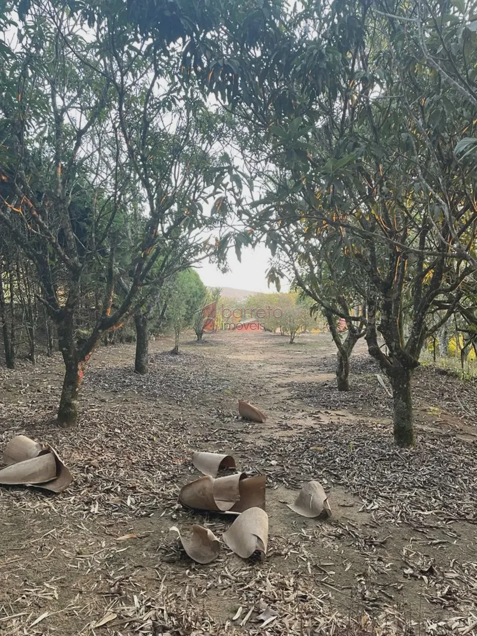 SÍTIO PARA VENDA E LOCAÇÃO, NO LOTEAMENTO SANTA CLARA EM JUNDIAÍ/SP