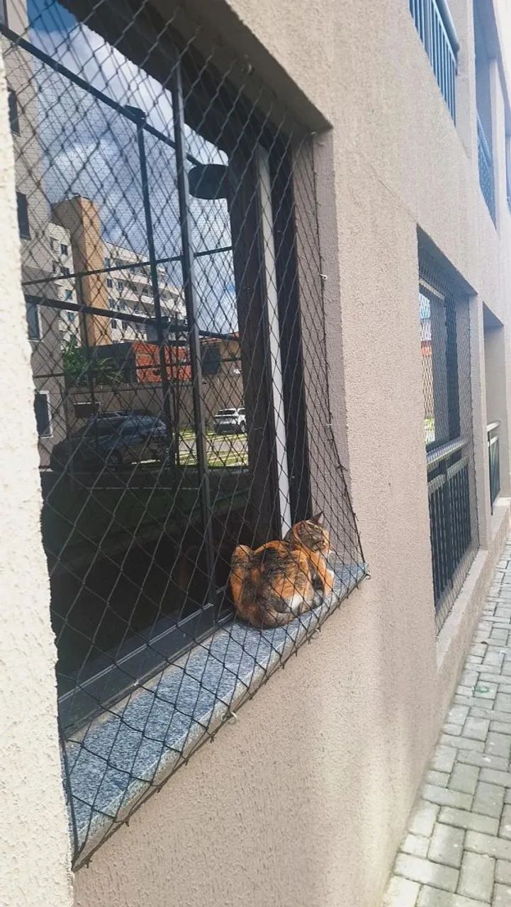 Redes para piscina  - Foto 4