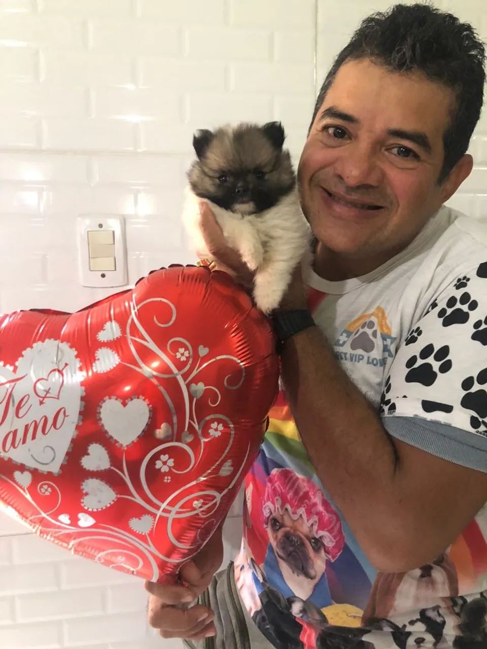 Tosa e banho domicílio serviços  - Foto 4