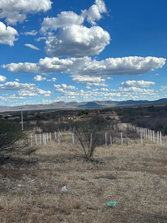Terreno Comercial ás margens da Br-232 - Foto 5